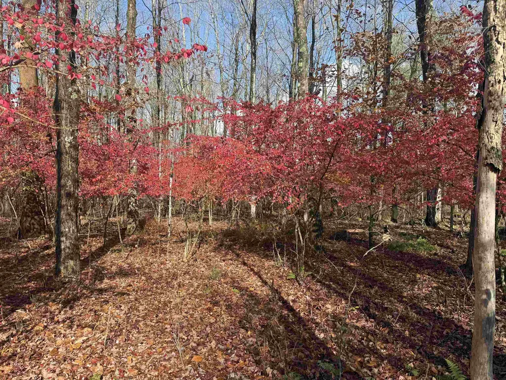 777 Butternut Gutter Arlington VT 05250