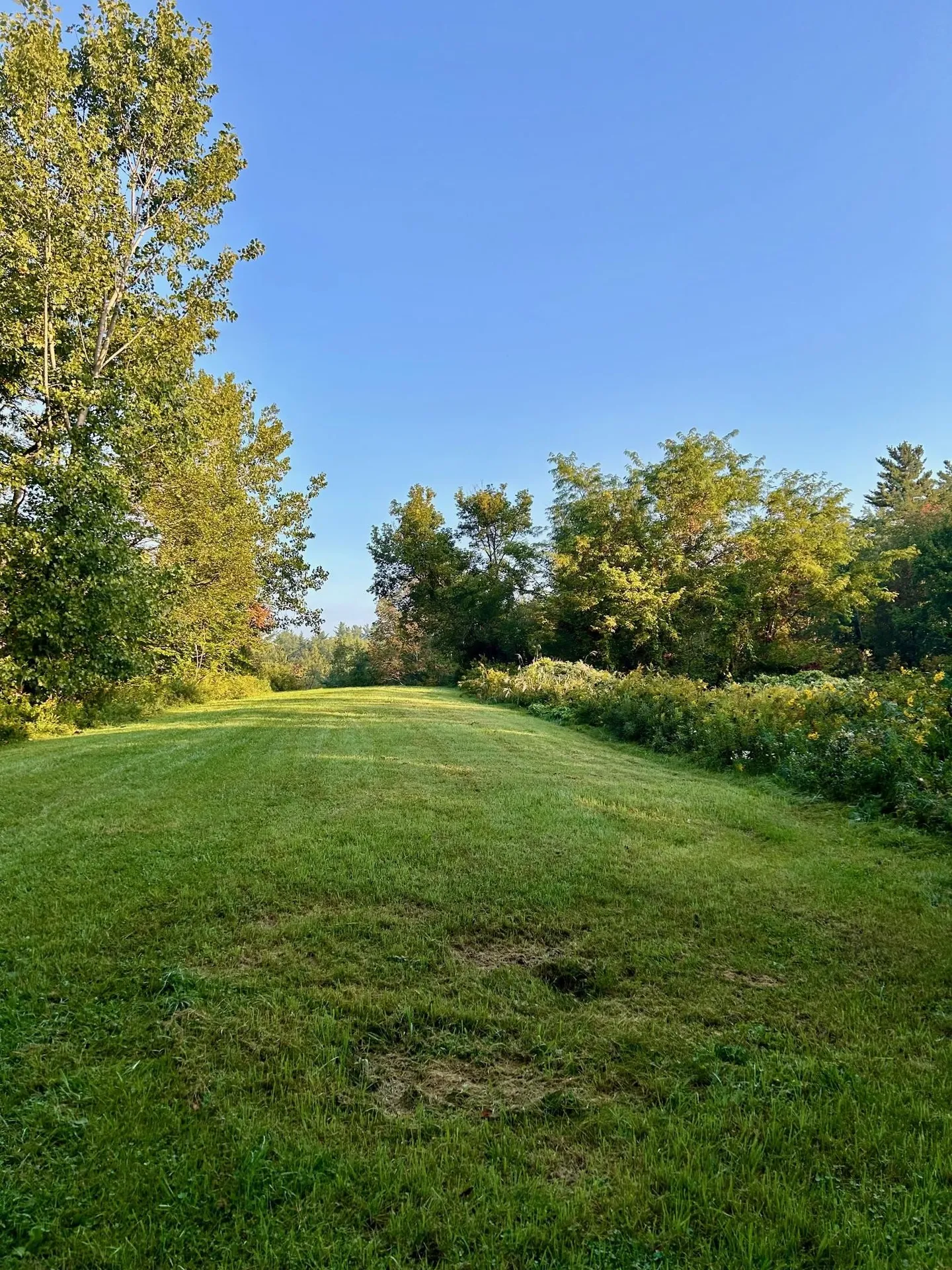 777 Butternut Gutter Arlington VT 05250