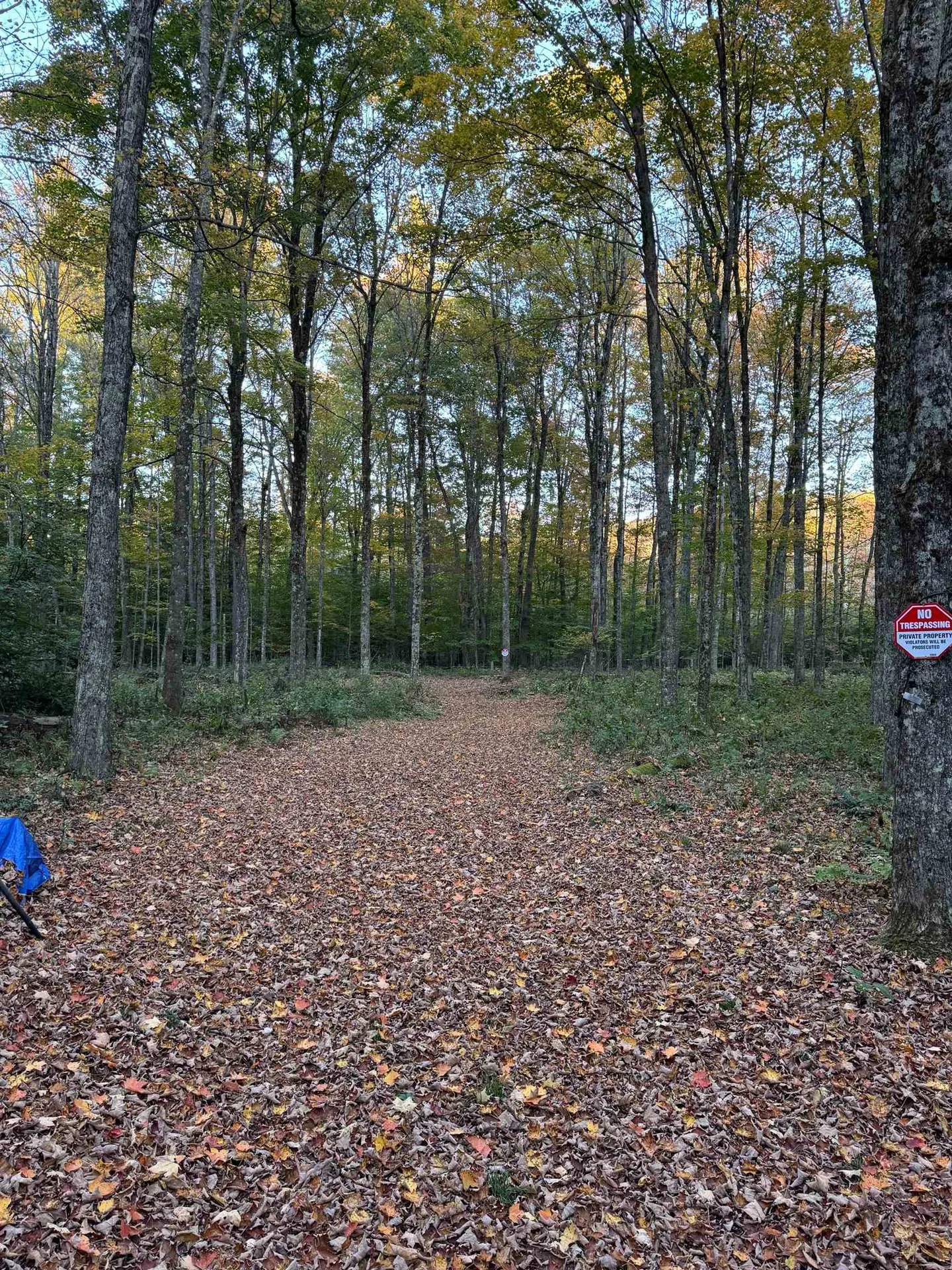 777 Butternut Gutter Arlington VT 05250