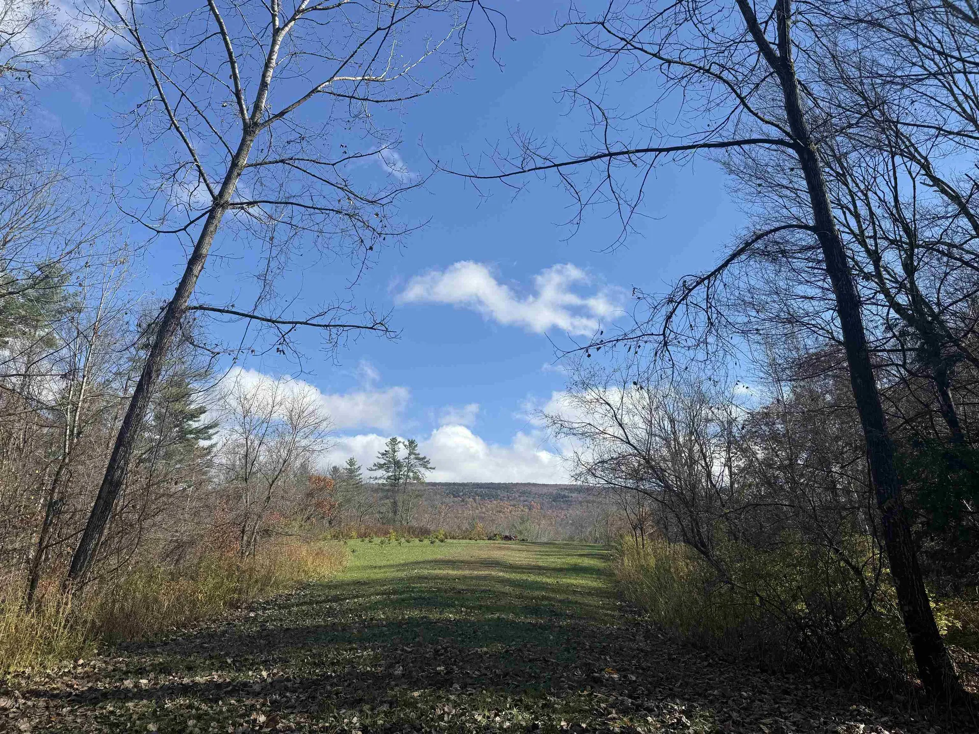 777 Butternut Gutter Arlington VT 05250