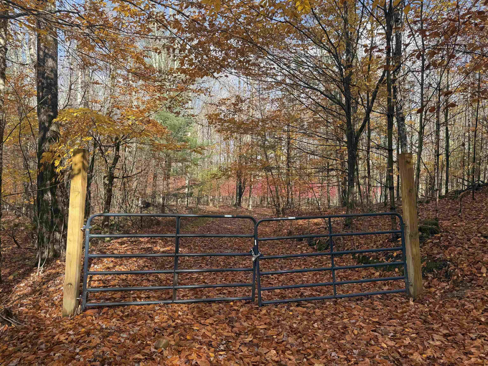 777 Butternut Gutter Arlington VT 05250