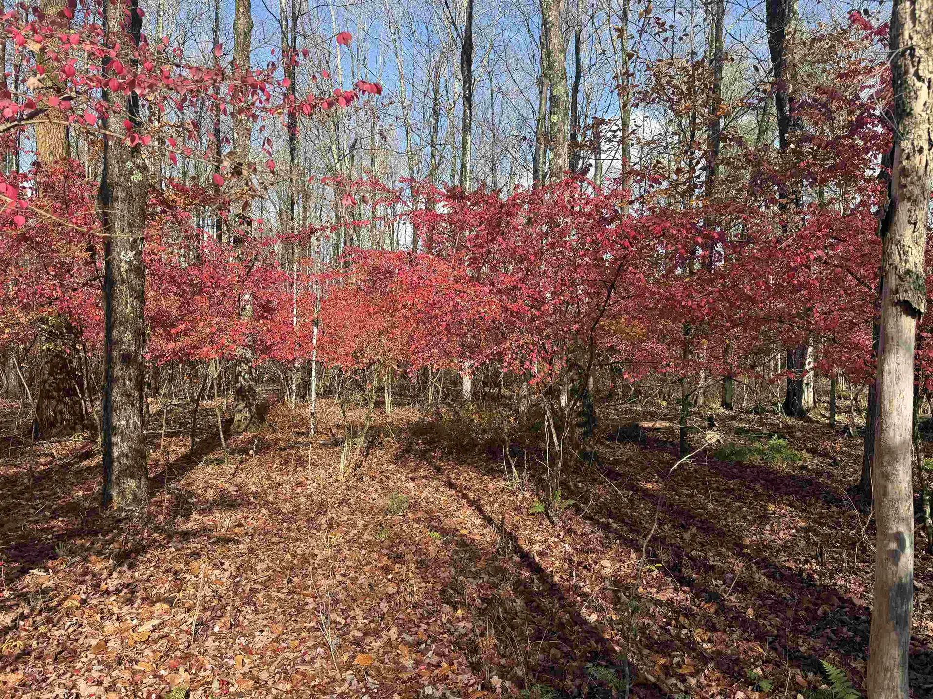 777 Butternut Gutter Arlington VT 05250