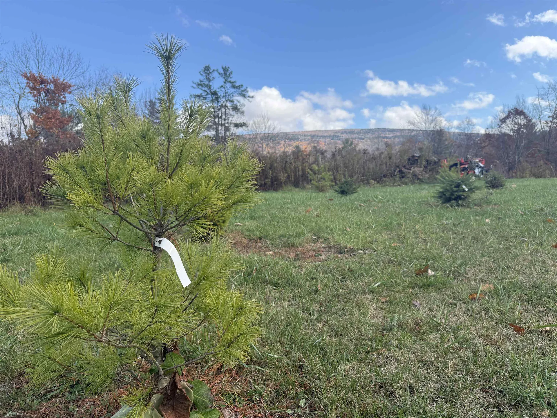 777 Butternut Gutter Arlington VT 05250