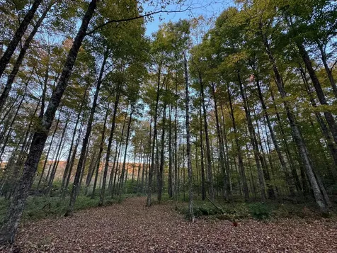 777 Butternut Gutter Arlington VT 05250