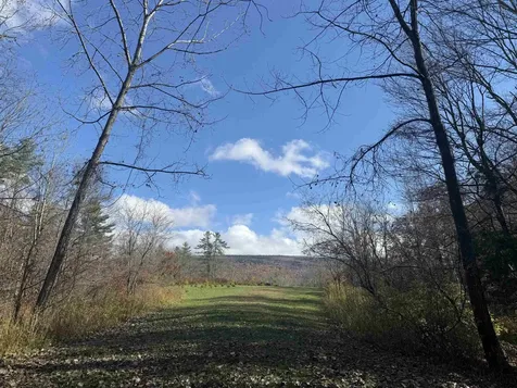 777 Butternut Gutter Arlington VT 05250