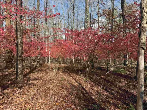 777 Butternut Gutter Arlington VT 05250