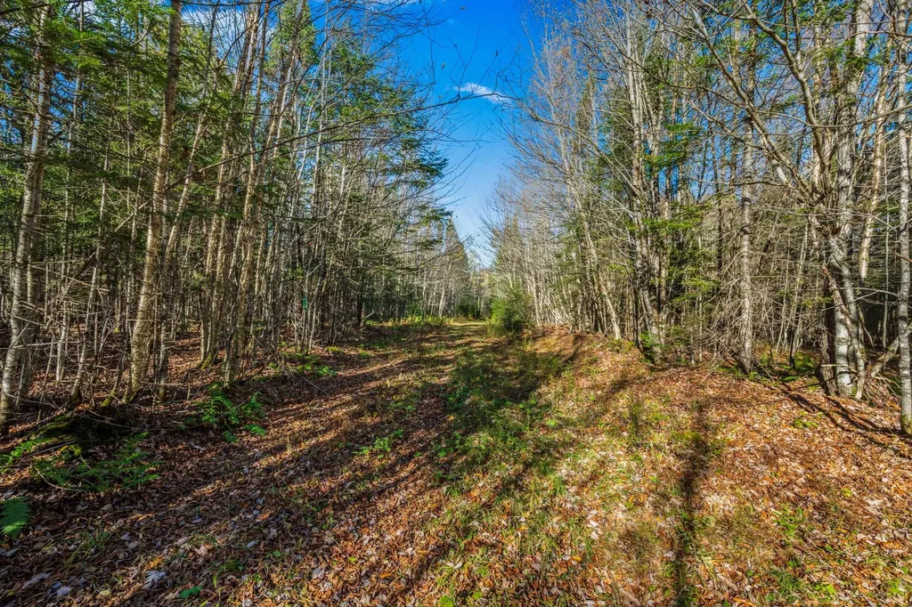 986 Summerhill Road Walden VT 05843