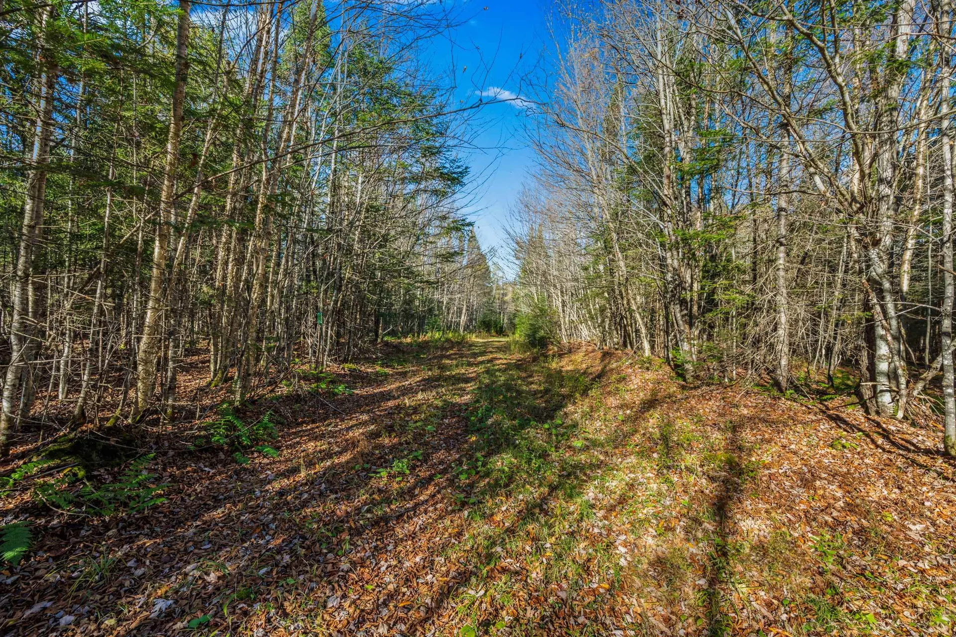 986 Summerhill Road Walden VT 05843