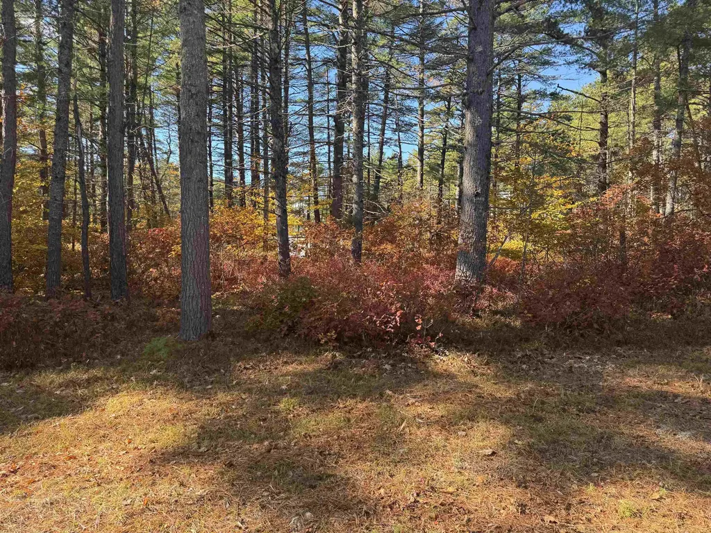 34 Old Mill Road Ossipee NH 03890