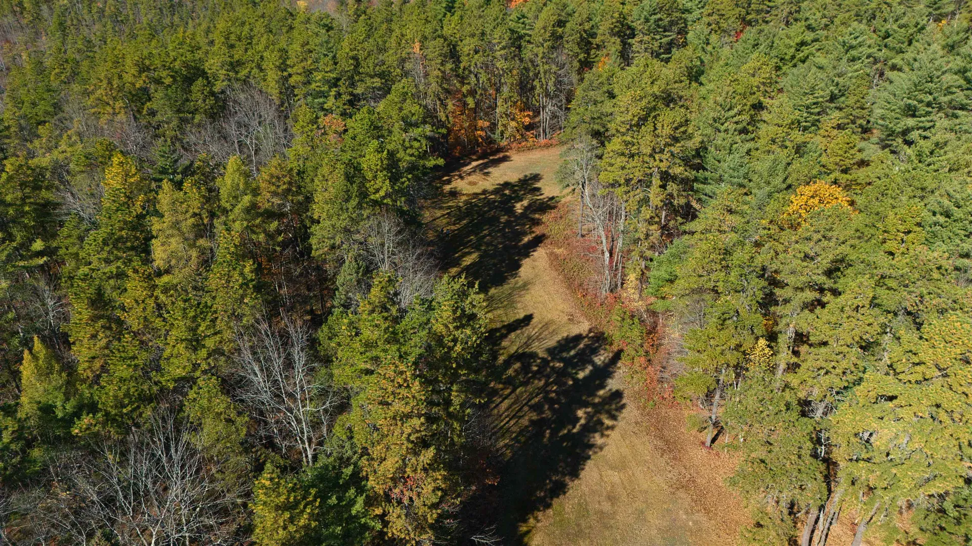 34 Old Mill Road Ossipee NH 03890