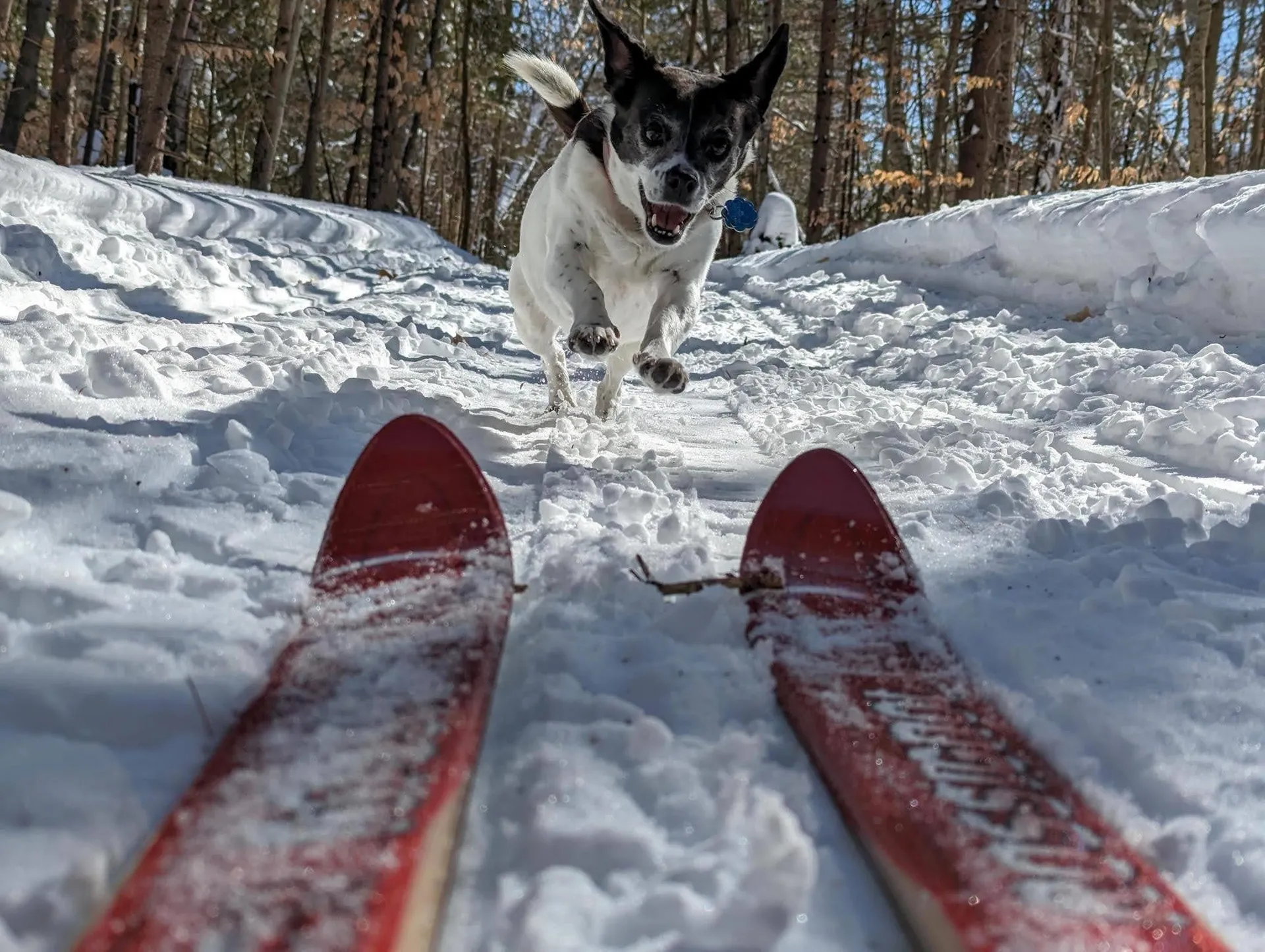 24 Potts Drive Dorchester NH 03266