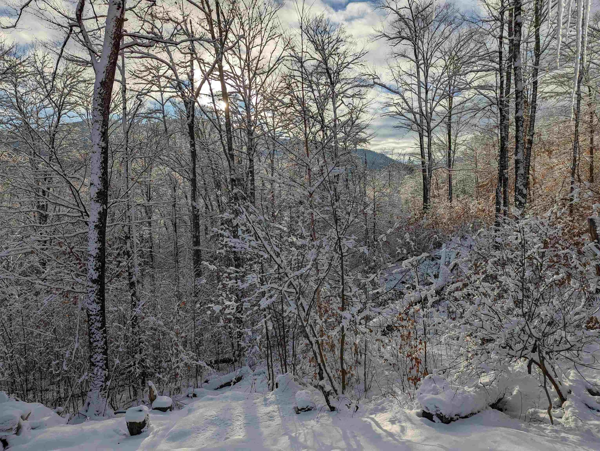 24 Potts Drive Dorchester NH 03266