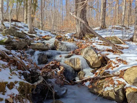 24 Potts Drive Dorchester NH 03266