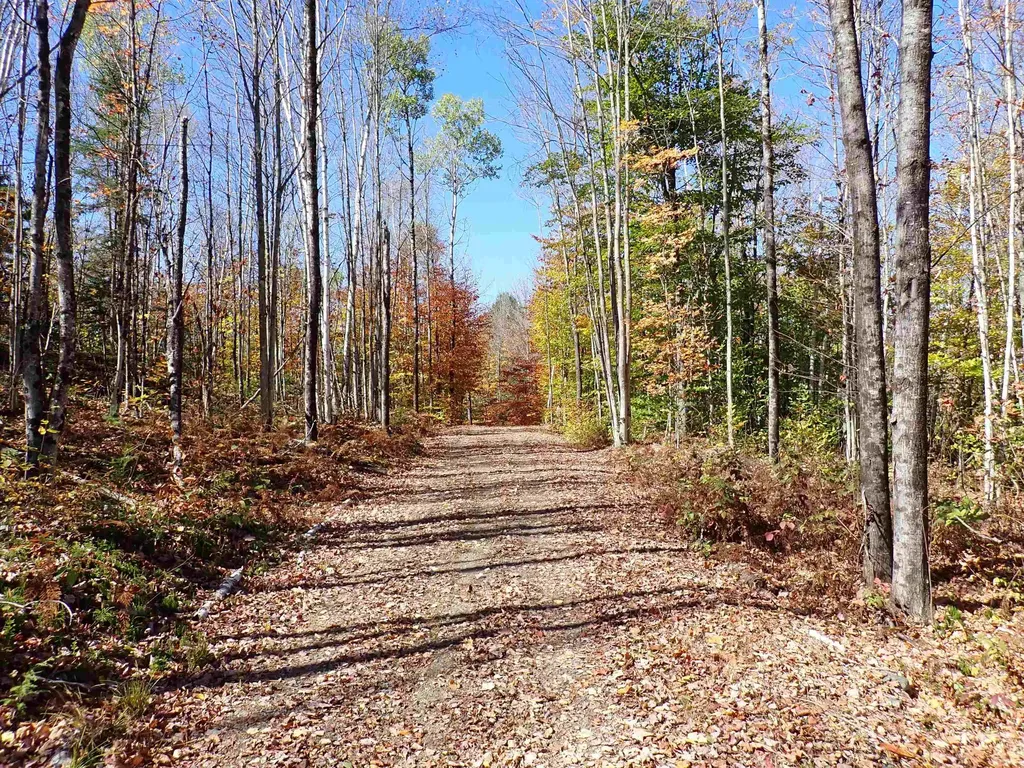 501 Fellows Road Guildhall VT 05905