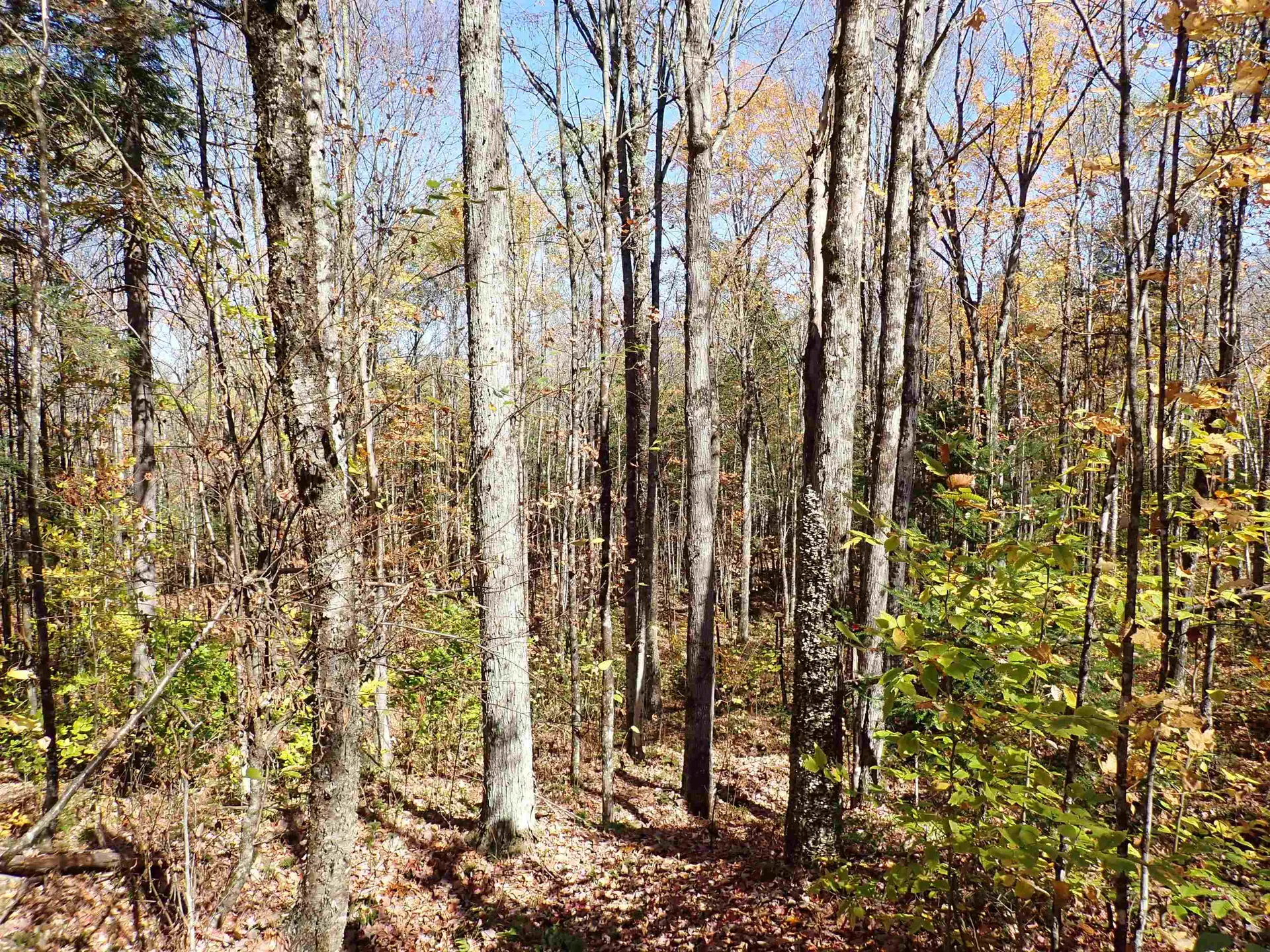 501 Fellows Road Guildhall VT 05905