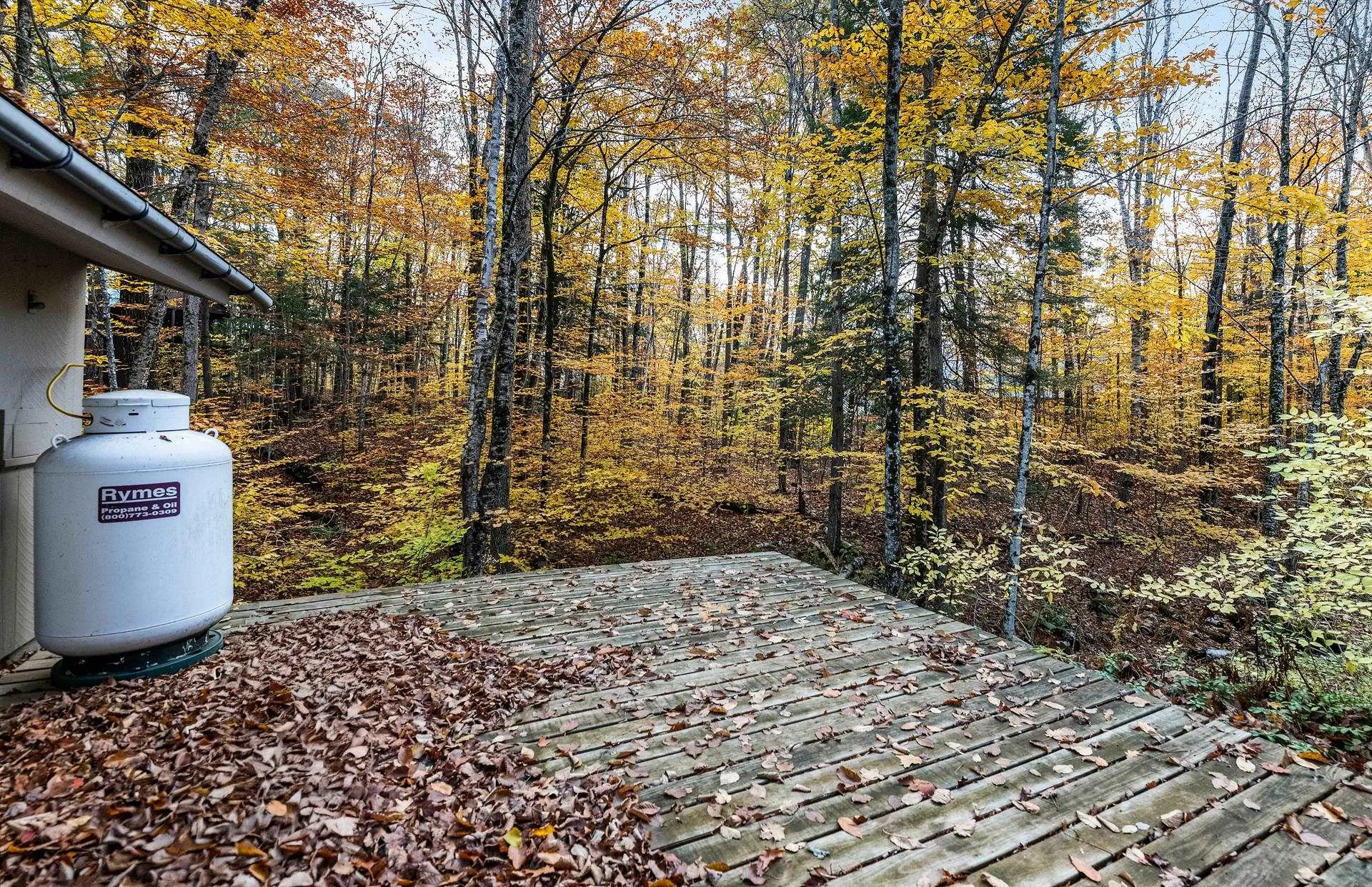 44 Hummingbird Hill Grantham NH 03753