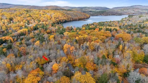 44 Hummingbird Hill Grantham NH 03753