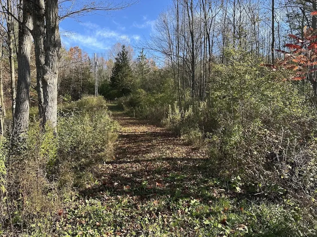 744 Webster Road Shoreham VT 05778