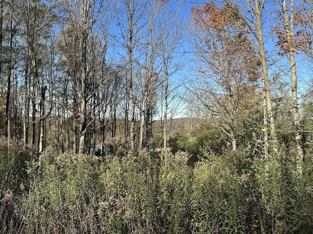 744 Webster Road Shoreham VT 05778