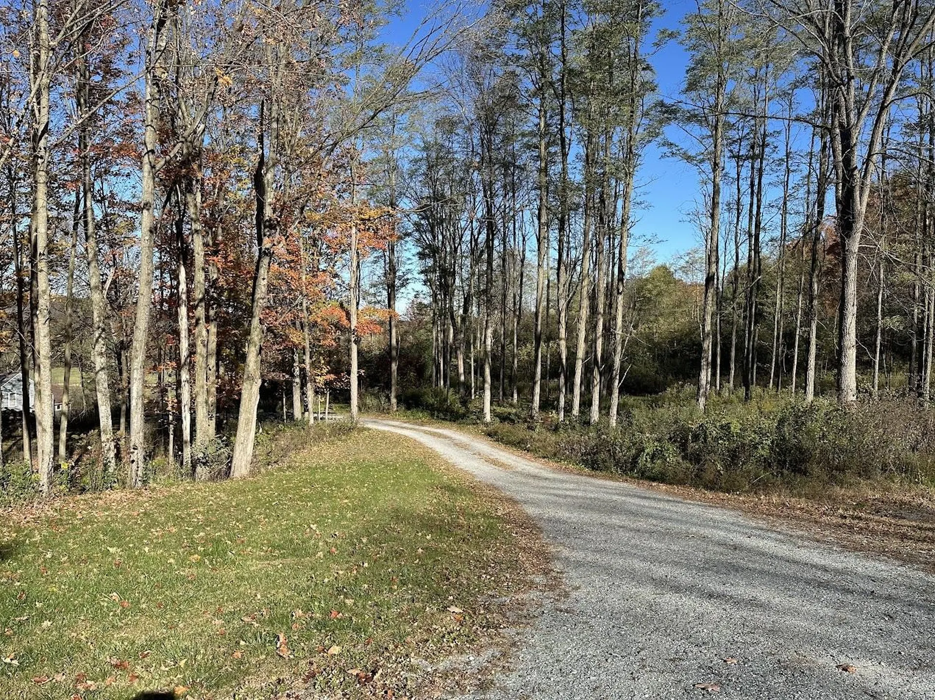 744 Webster Road Shoreham VT 05778