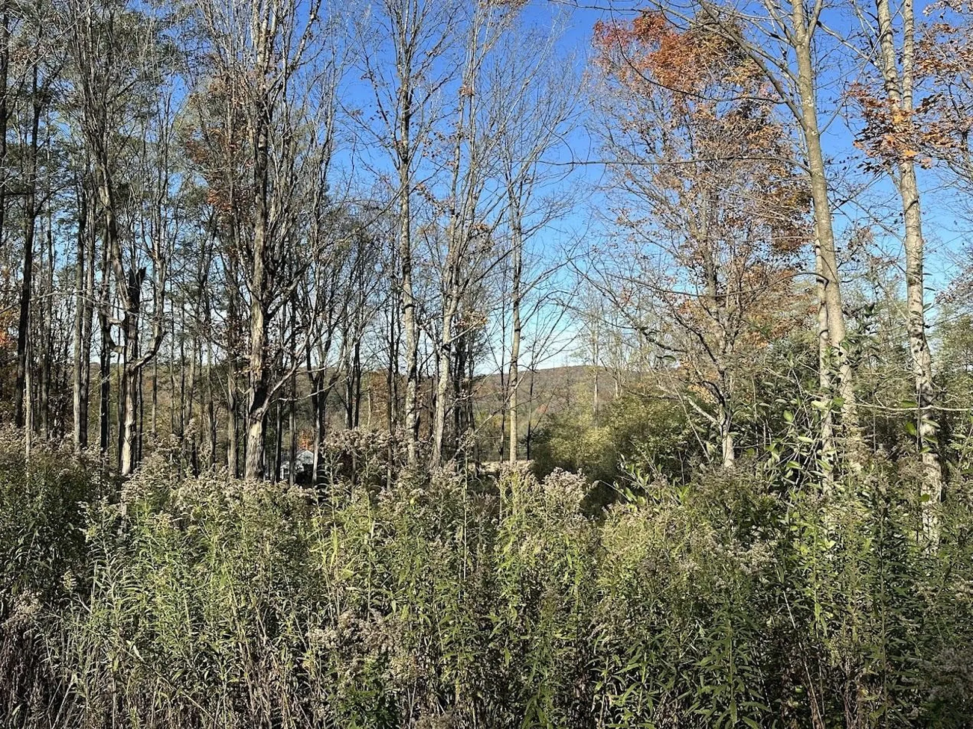 744 Webster Road Shoreham VT 05778