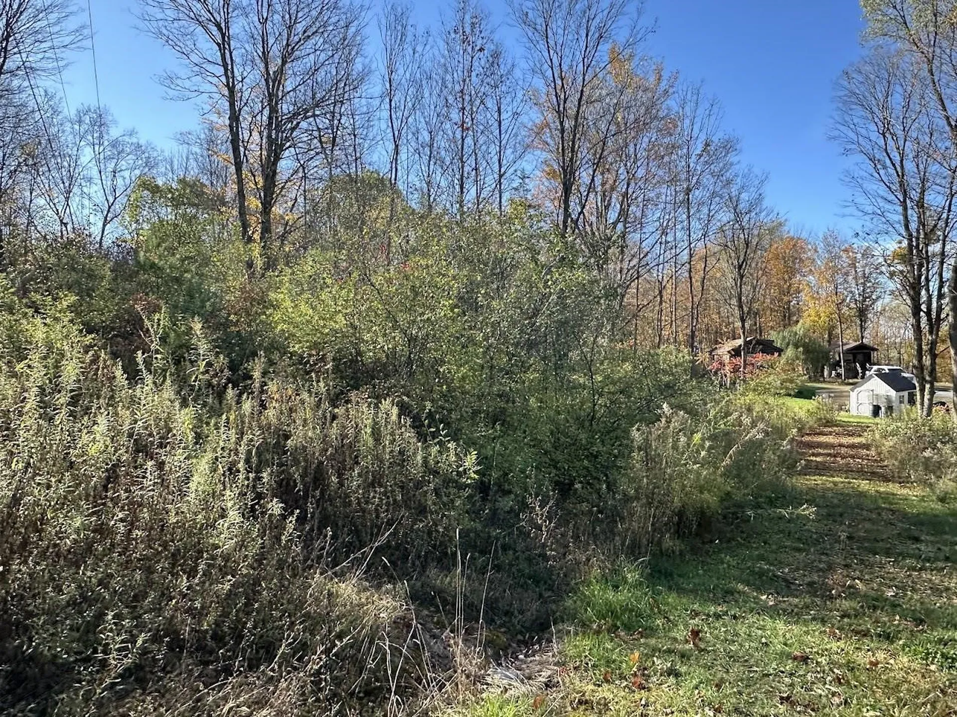 744 Webster Road Shoreham VT 05778