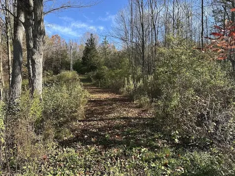 744 Webster Road Shoreham VT 05778