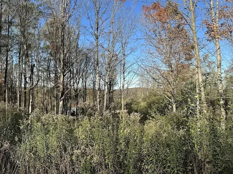 744 Webster Road Shoreham VT 05778