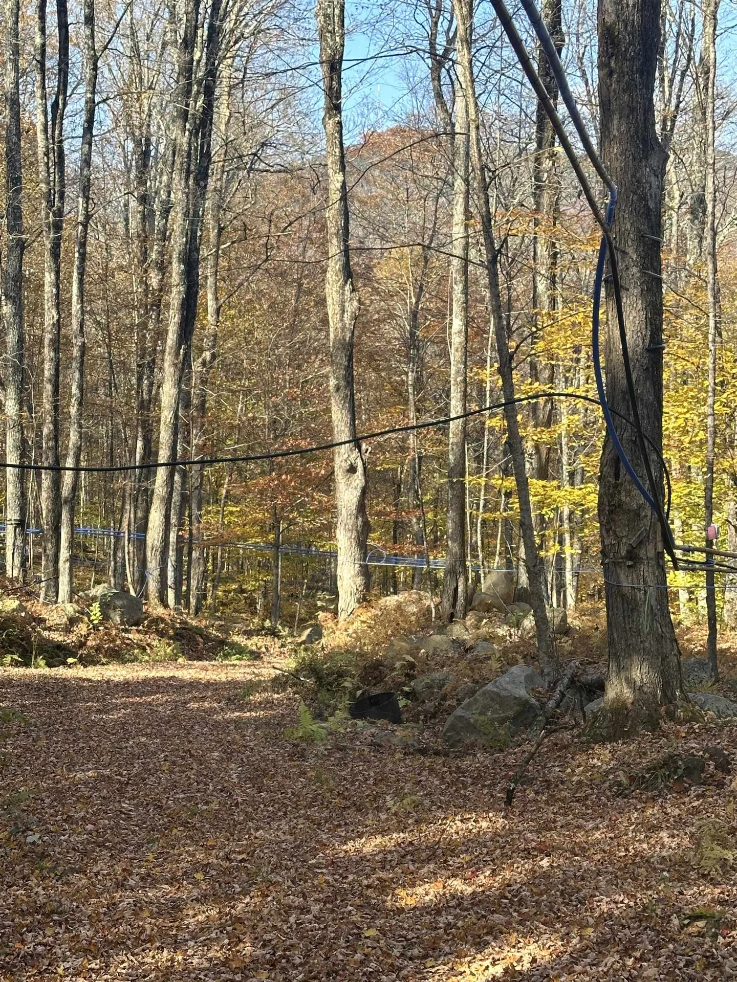 1928 Vt. Route 131 Weathersfield VT 05156