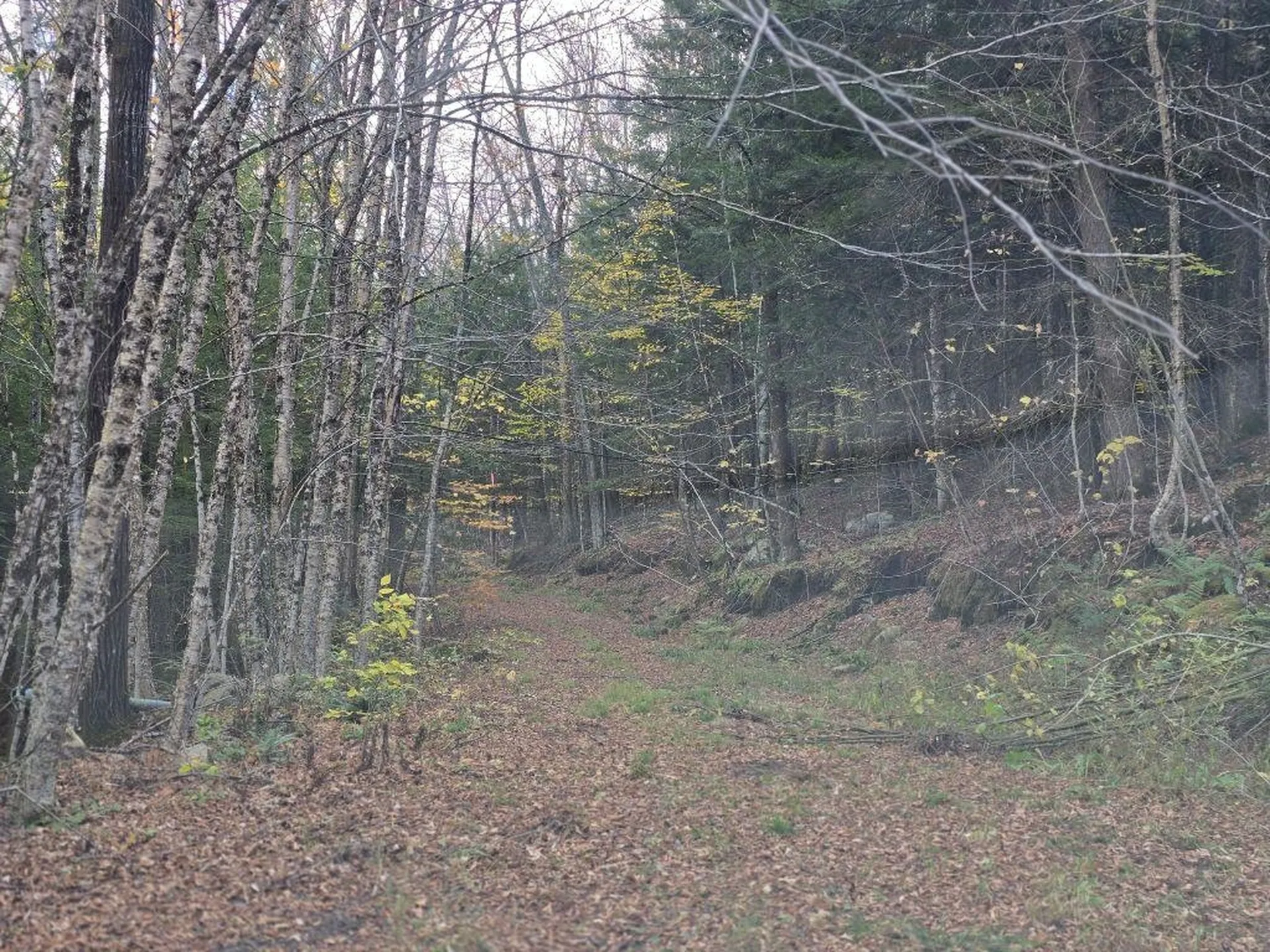 1928 Vt. Route 131 Weathersfield VT 05156