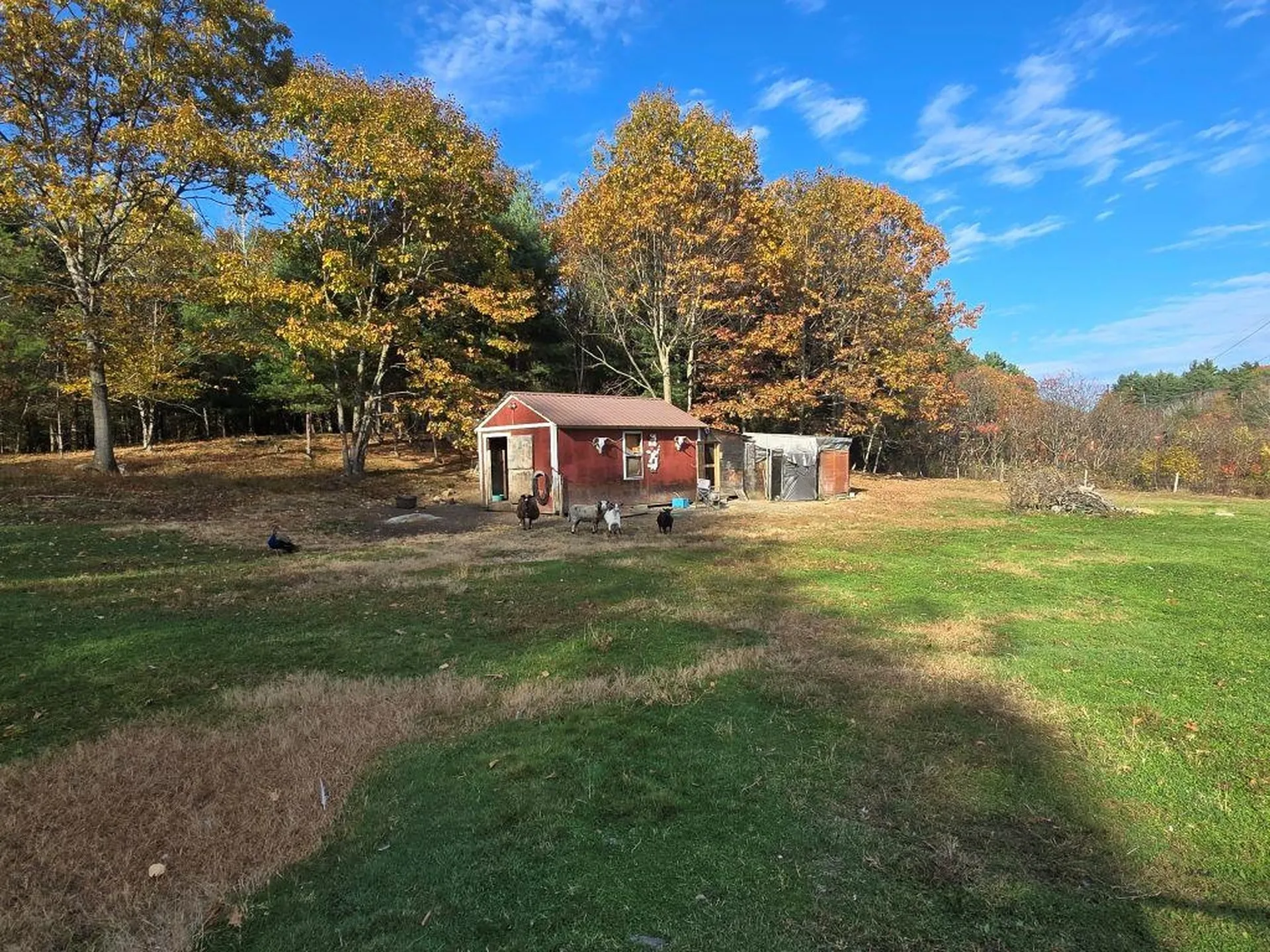 1928 Vt. Route 131 Weathersfield VT 05156