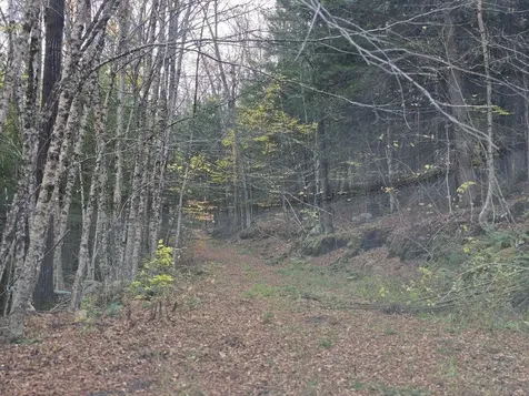 1928 Vt. Route 131 Weathersfield VT 05156