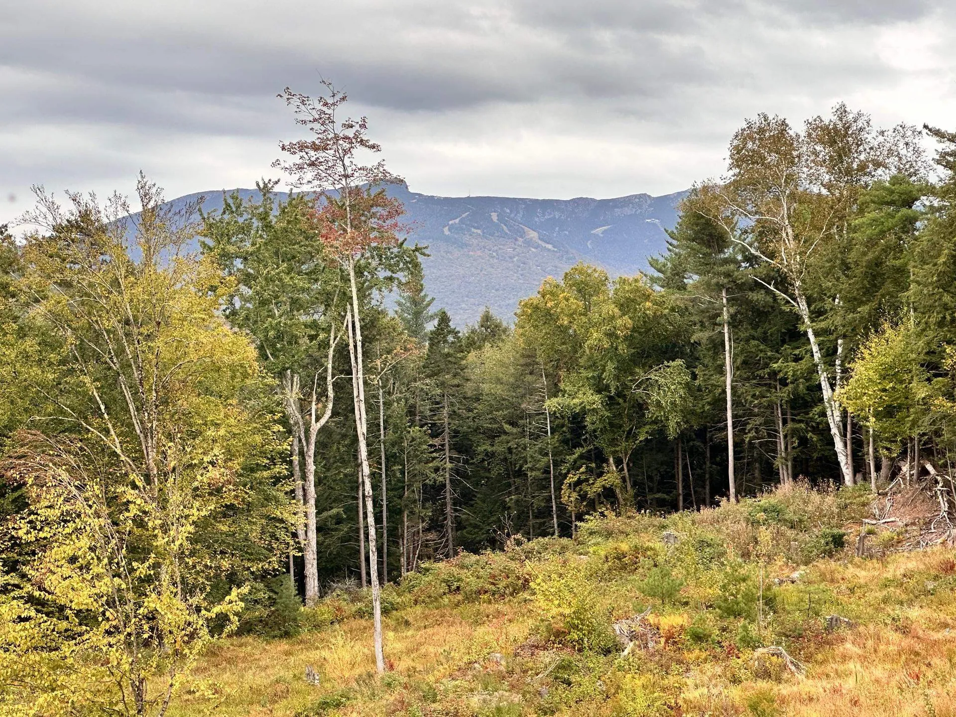 2364 Mountain Road Stowe VT 05672