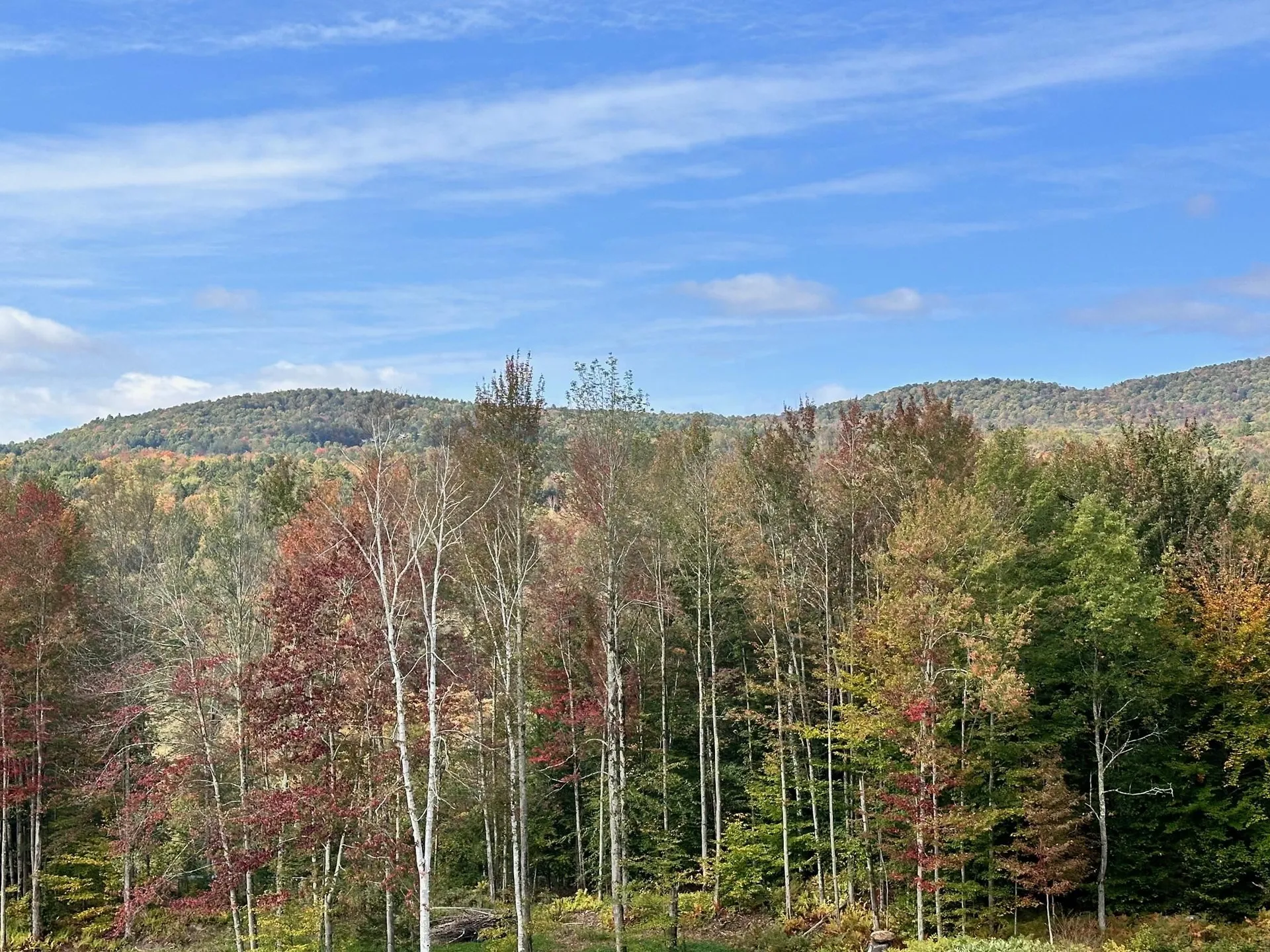 2364 Mountain Road Stowe VT 05672