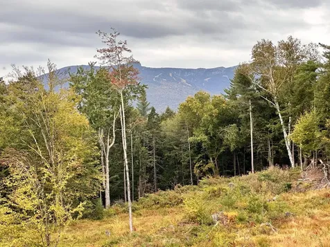 2364 Mountain Road Stowe VT 05672