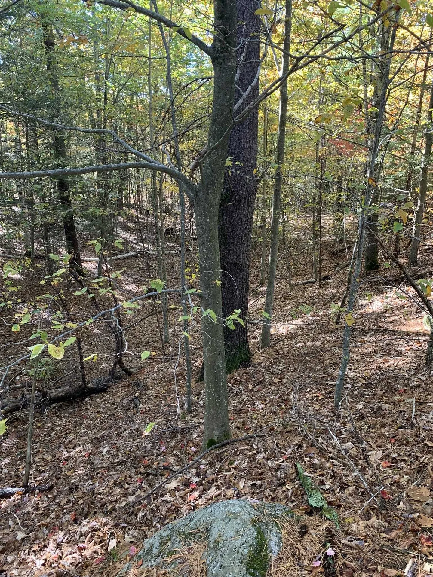 Lot 2 Journeys End Road Francestown NH 03043