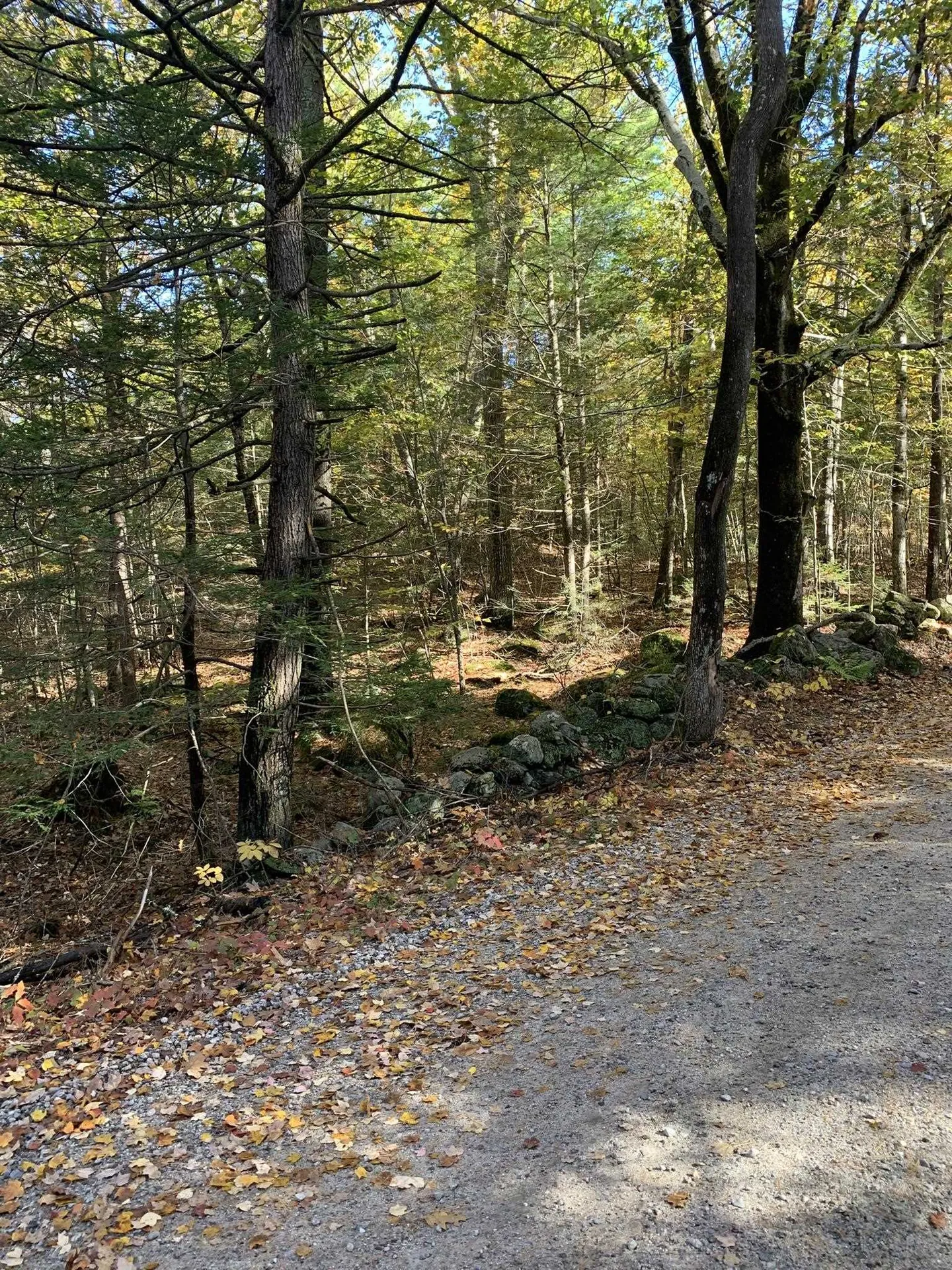 Lot 2 Journeys End Road Francestown NH 03043