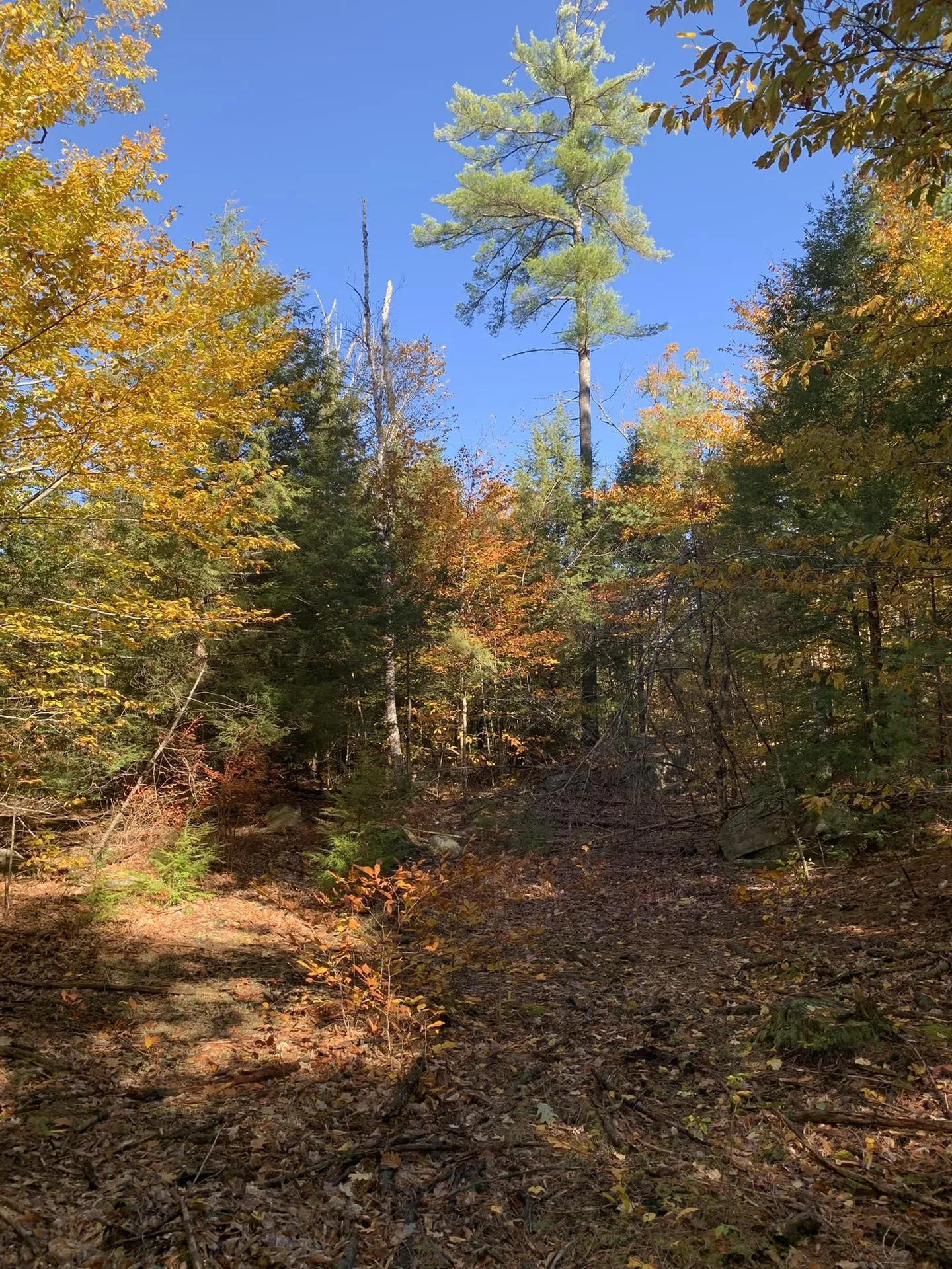 Lot 2 Journeys End Road Francestown NH 03043