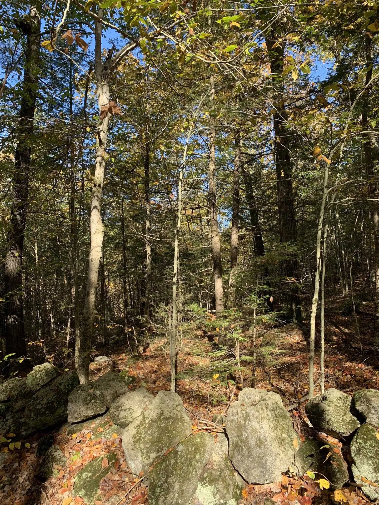 Lot 2 Journeys End Road Francestown NH 03043