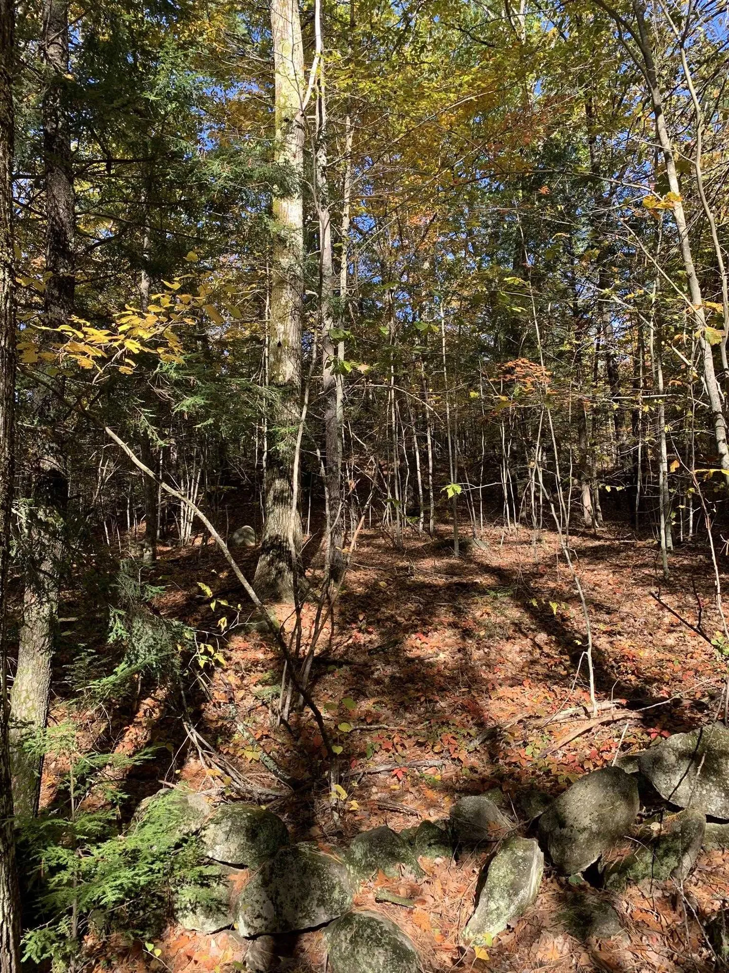 Lot 2 Journeys End Road Francestown NH 03043