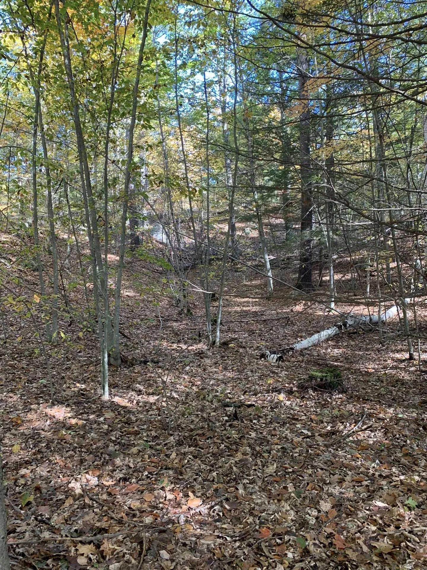 Lot 2 Journeys End Road Francestown NH 03043