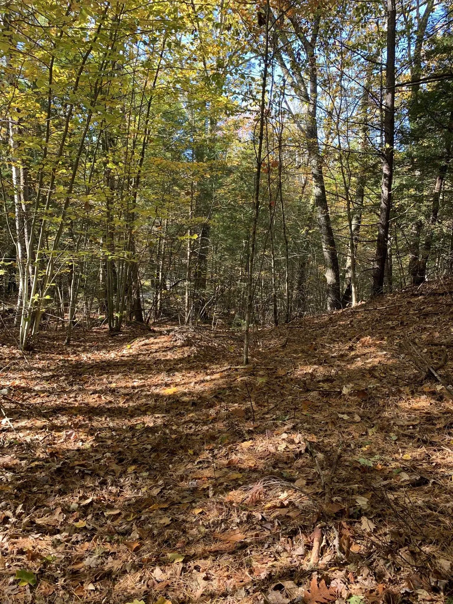 Lot 2 Journeys End Road Francestown NH 03043