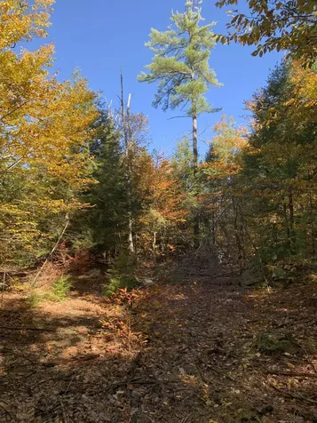 Lot 2 Journeys End Road Francestown NH 03043