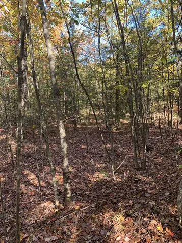 Lot 2 Journeys End Road Francestown NH 03043