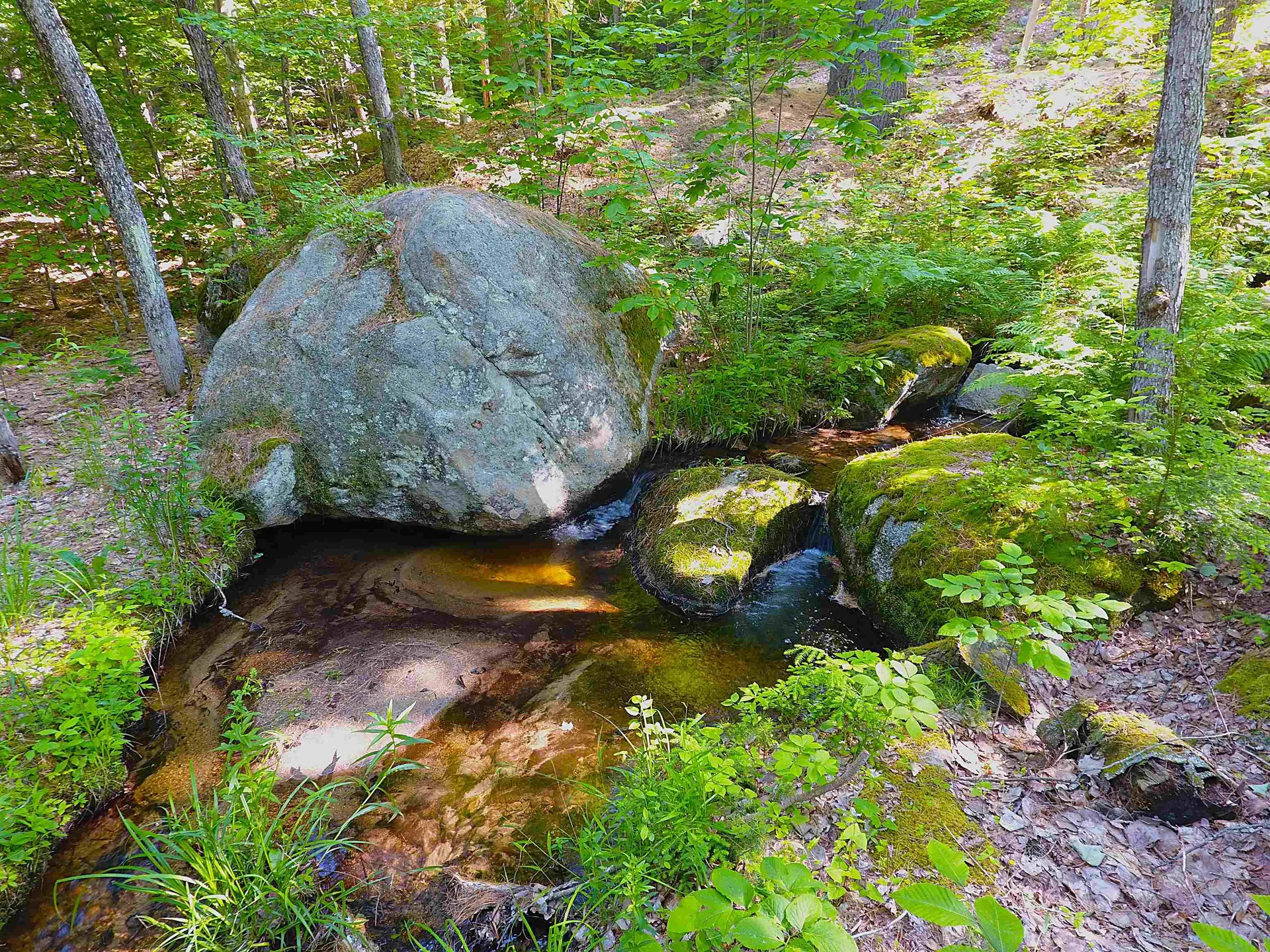 443 Greeley Road Conway NH 03813