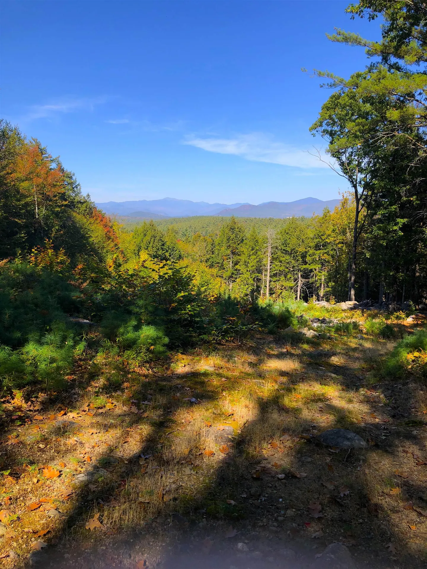 443 Greeley Road Conway NH 03813