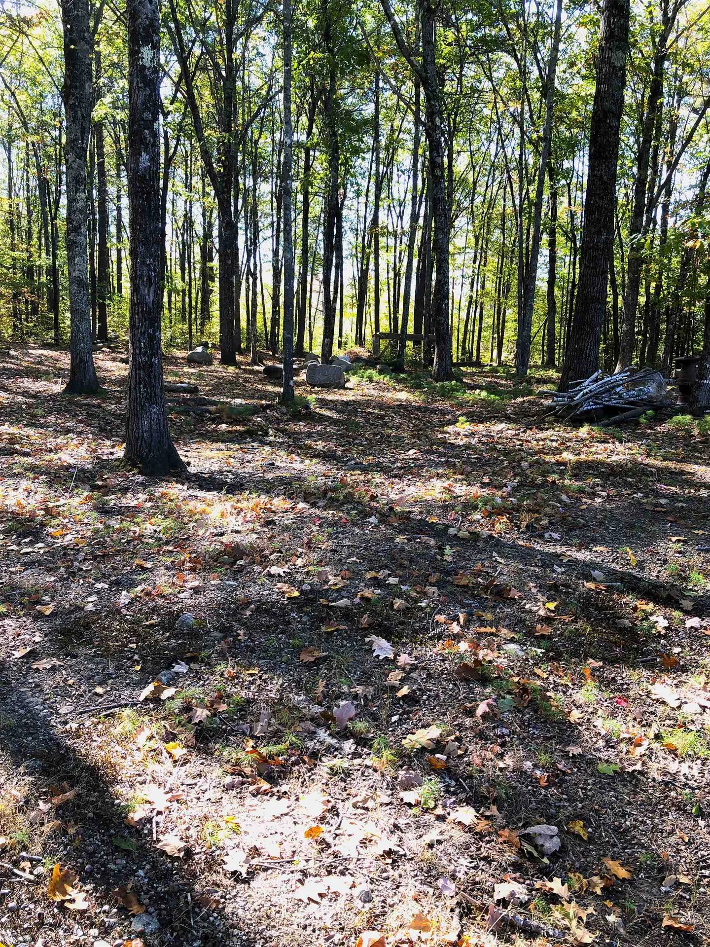 443 Greeley Road Conway NH 03813