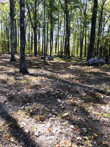 443 Greeley Road Conway NH 03813