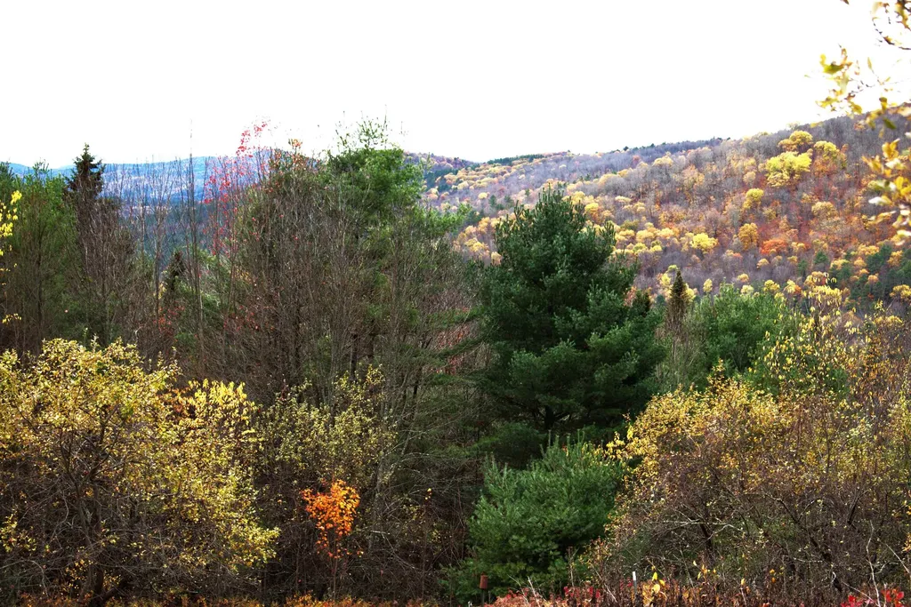 00 Old County South Road Waterford VT 05848