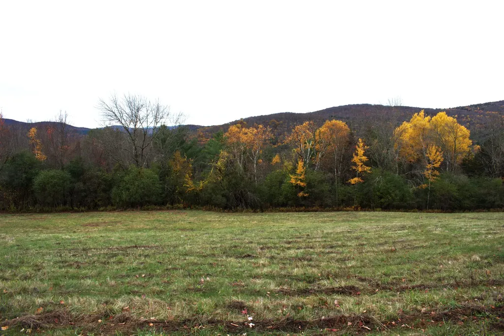 00 Old County South Road Waterford VT 05848